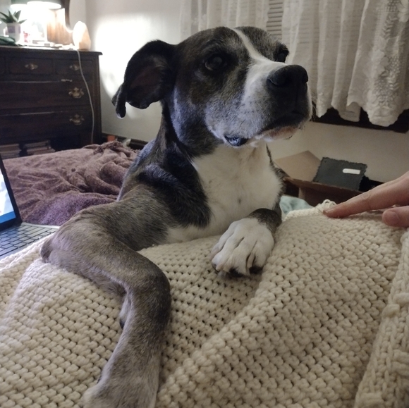 Meet your Posher, Nikkyra - Picture 2 of 3